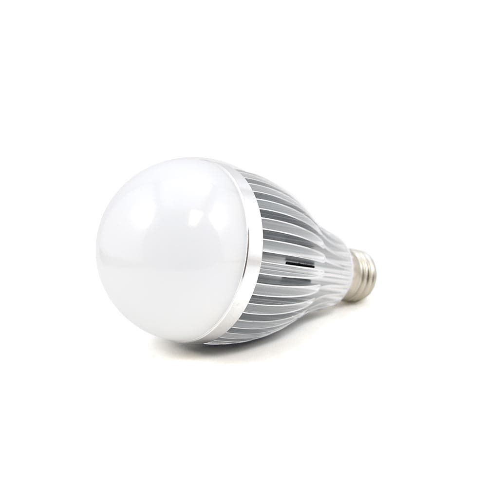 A19 Globe LED Bulb, 12W Dimmable Warm White, E27 Base, 120VAC