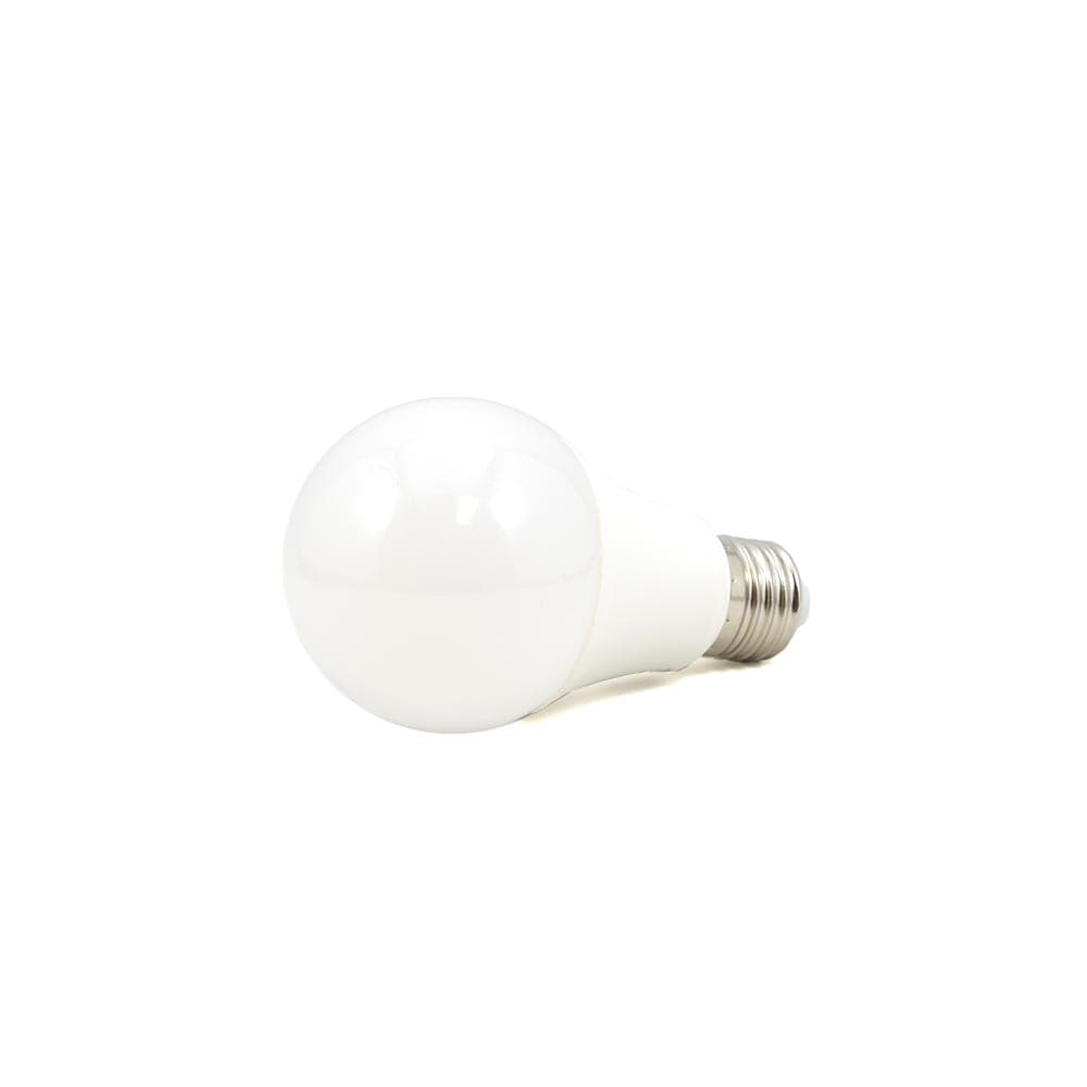 A19 Globe LED Bulb, 10W 4000K Day White, E27 Base, 850lm