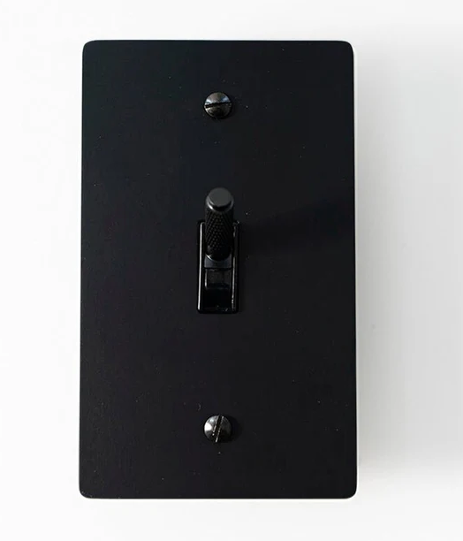 Vintage Brass 1-Gang Toggle Switch, 120V AC, IP20, UL Listed