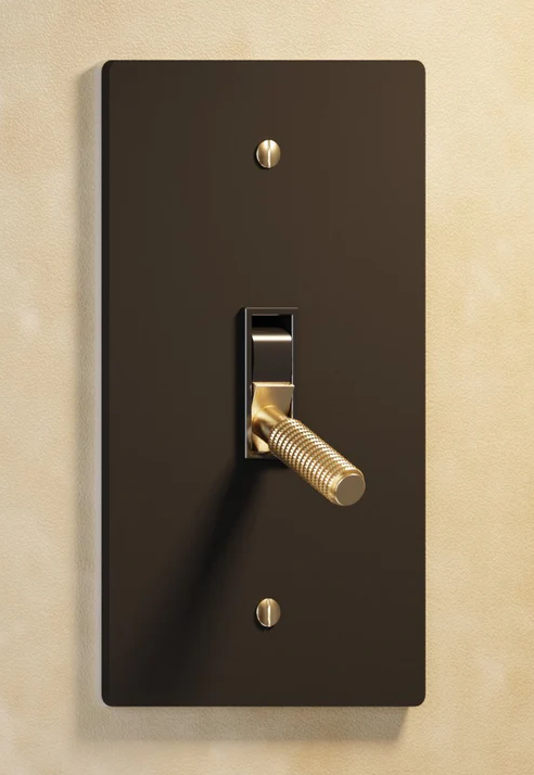 1-Gang Brass Toggle Switch, 120V AC, IP20, UL Listed, Vintage Brass Plate